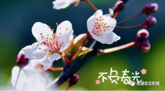 每一個春天都會如約而至，南通佳寶與您同在